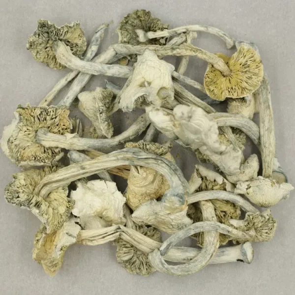 Albino A+ Mushroom