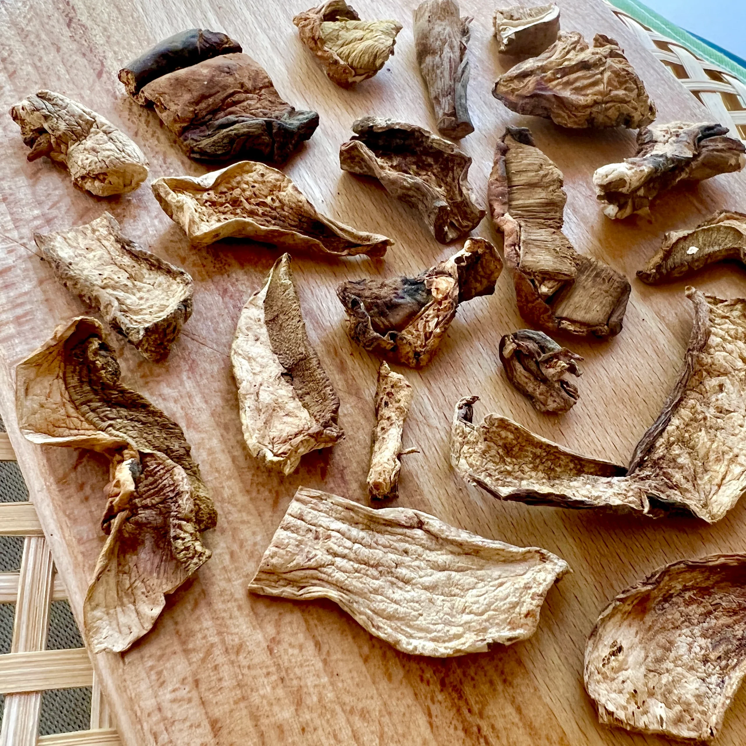 Porcini Mushrooms