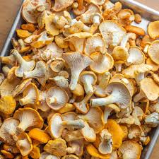Chanterelle Mushrooms