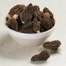 Morel Mushrooms