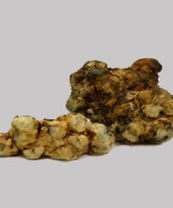 Galindoi Mushrocks truffles