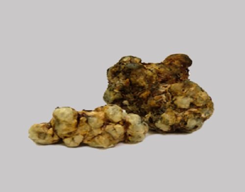 Galindoi Mushrocks truffles