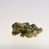 Golden Teacher Magic truffles