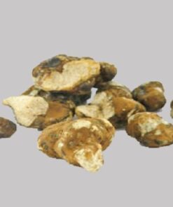 Mexicana truffles