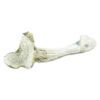 Avery Albino Magic Mushroom