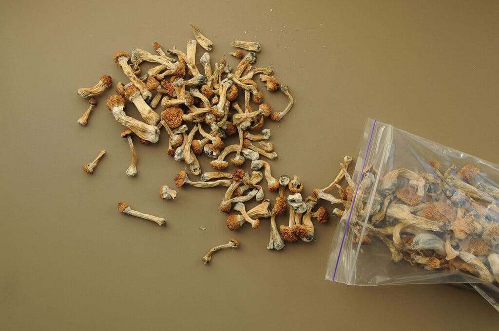 how long does a psilocybin trip last