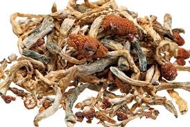 how long do magic mushrooms stay in your system