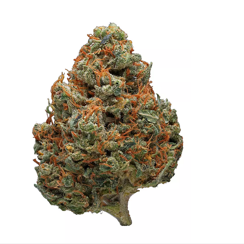 Durban-Poison.png Durban Poison strain - Image 1