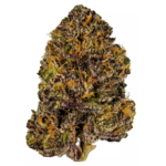 Granddaddy Purple Strain