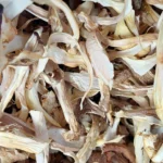 Oyster Mushrooms